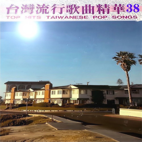 台湾流行歌曲精华 38