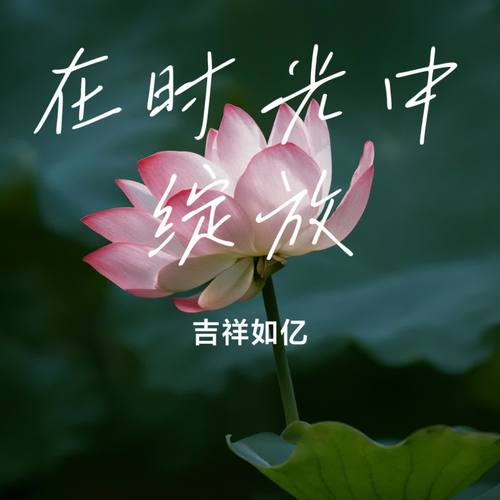 在时光中绽放