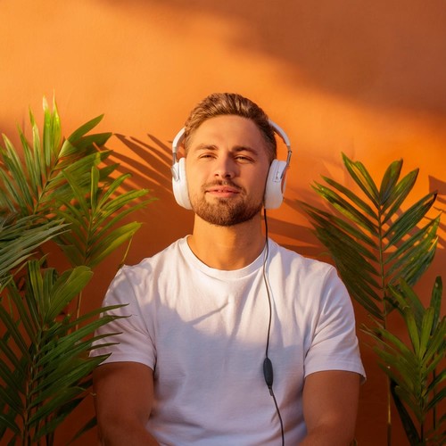 Ritmos Lofi Silenciosos Para La Tranquilidad De La Tarde