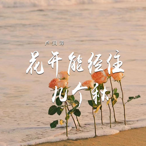 花开能经住几个秋