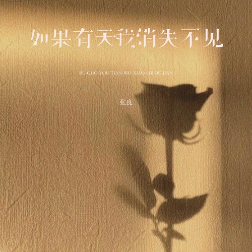 如果有天我消失不见