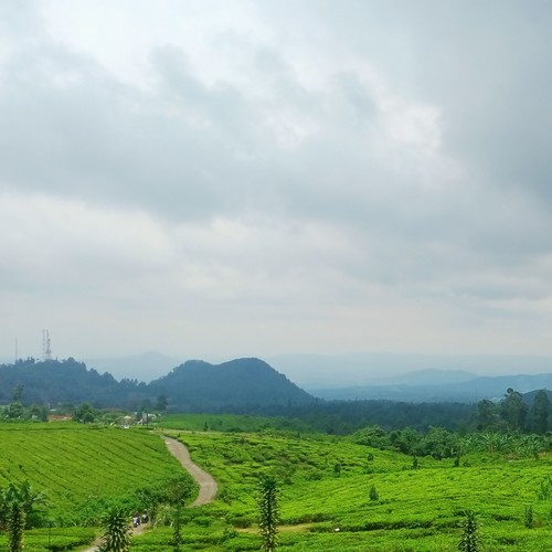 Ibu ku merindukanmu