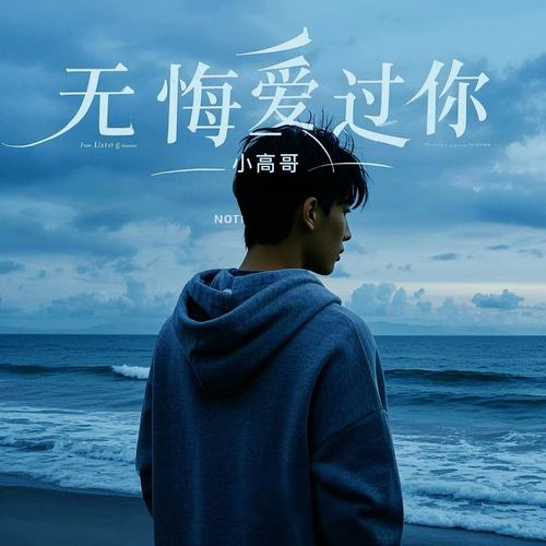 无悔爱过你