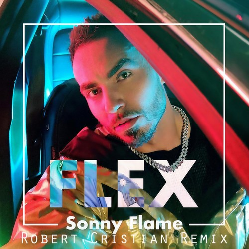 Flex (Robert Cristian Remix)