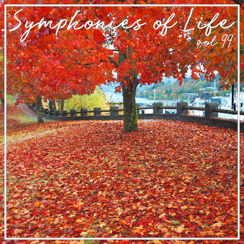 Symphonies of Life, Vol. 99