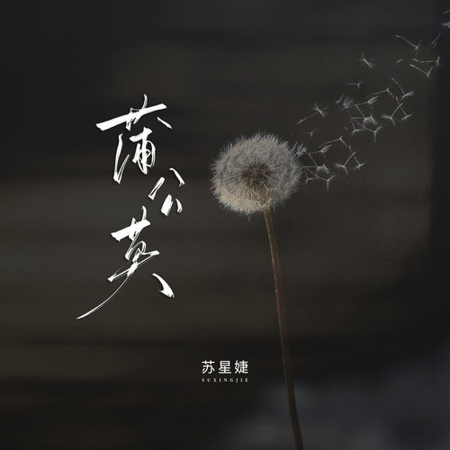 蒲公英