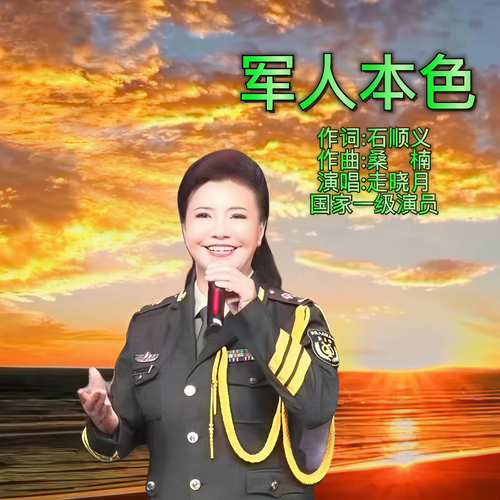 军人本色