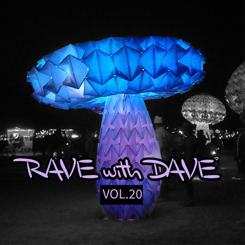 RAVE with DAVE, Vol. 20 (Explicit)