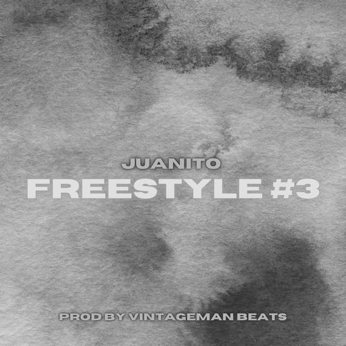 Freestyle #3 (Explicit)