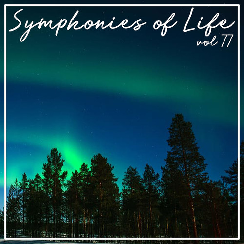 Symphonies of Life, Vol. 77 - Bach: Musik Der Bach Familie