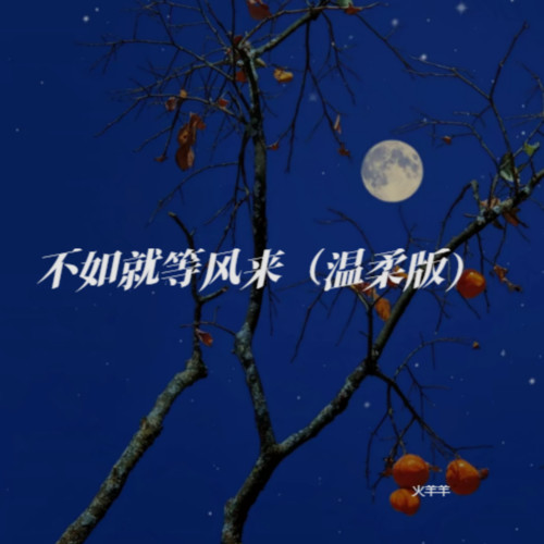 不如就等风来（温柔版）
