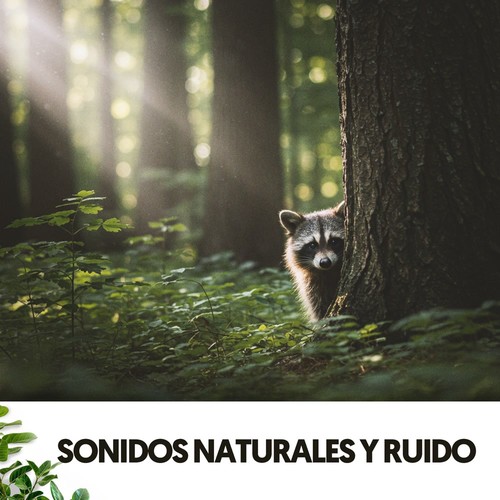 Sonidos Naturales y Ruido: Aire puro en melodía