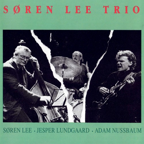 Søren Lee Trio