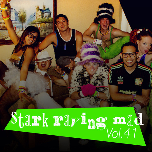 Stark Raving Mad, Vol. 41 (Explicit)