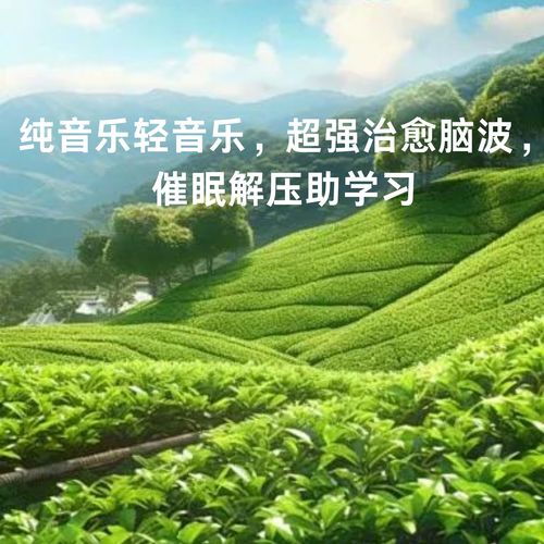 纯音乐轻音乐，超强治愈脑波，催眠解压助学习