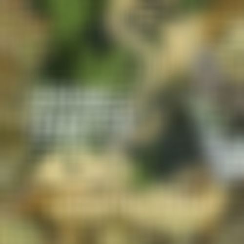 Dank 'N' Dirty Dubz 4/20 Compilation (2025)