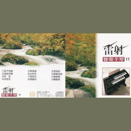 雷射双电子琴11