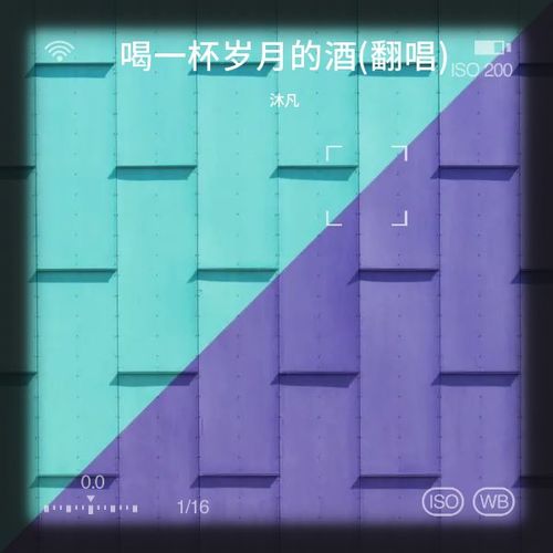 喝一杯岁月的酒