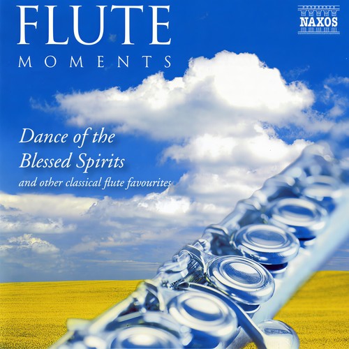 FLUTE MOMENTS