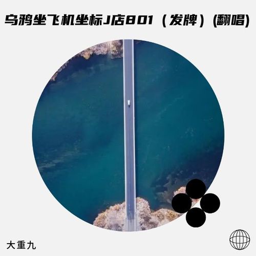 乌鸦坐飞机 坐标J店801（发牌）(翻唱)