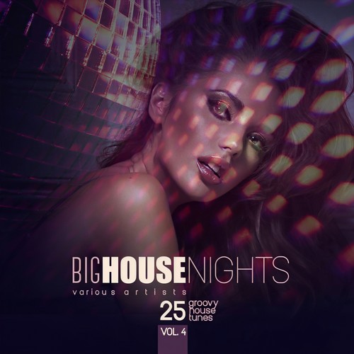 Big House Nights (25 Groovy House Tunes) , Vol. 4