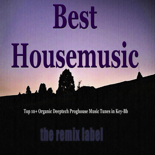 Best Housemusic (Top 10+ Organic Deeptech Proghouse Music Tunes in Key-Bb from Balearic Ibiza to Hot Miami Beach Tunes Album Compilation and the Paduraru Megamix)