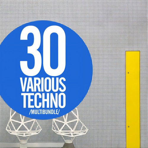 30 Various Techno Multibundle