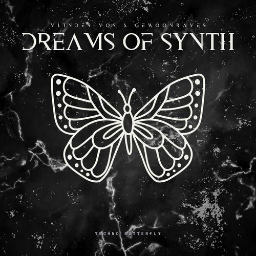 DREAMS OF SYNTH