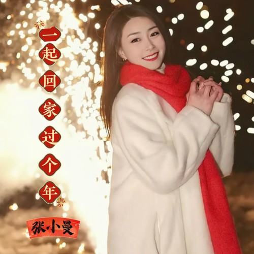 一起回家过个年（DJ小曼版）