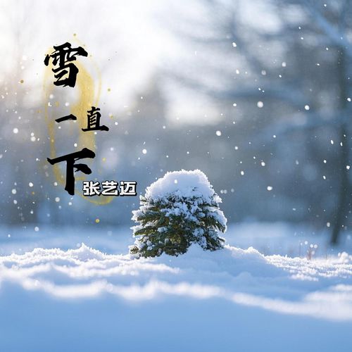 雪一直下