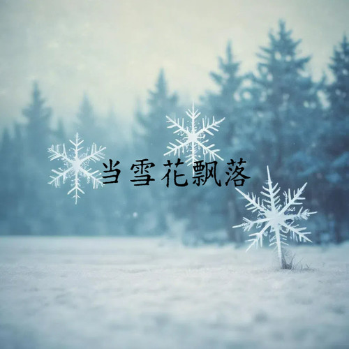 当雪花飘落（琼瑶）