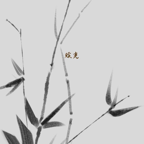 赎光