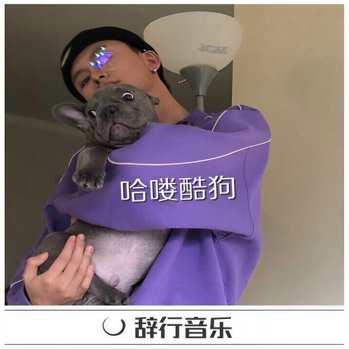 哈喽 酷 狗