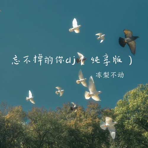 忘不掉的你dj