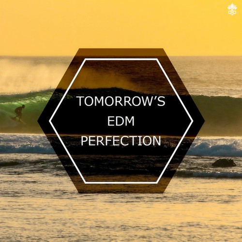 Tomorrow's EDM Perfection