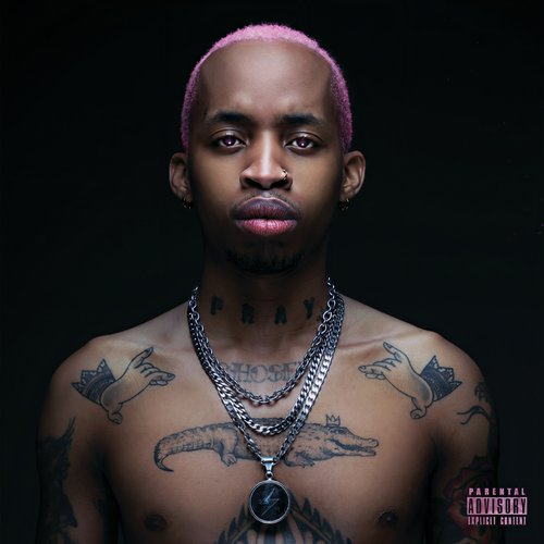 Pink Panther (Explicit)