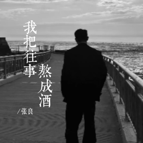 我把往事熬成酒