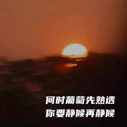 何时葡萄先熟透 你要静候再静候 (2025新年语录)
