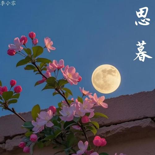 思慕