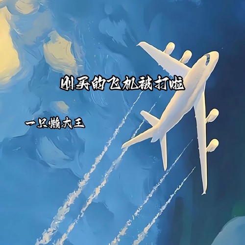 刚买的飞机被打啦 (懒洋洋版)