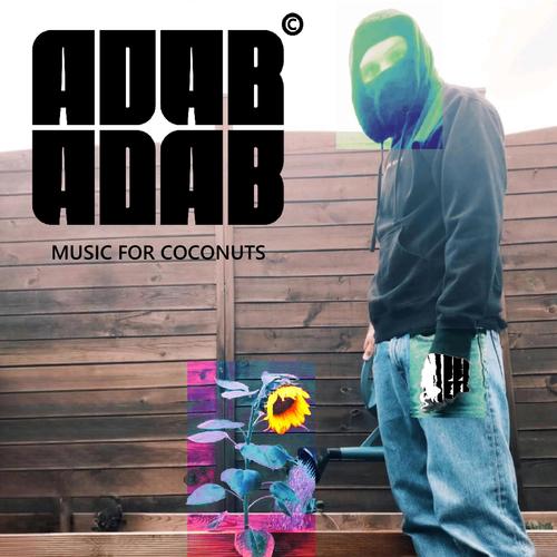 Music for Coconuts (instrumental album)