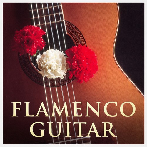 Flamenco Guitar