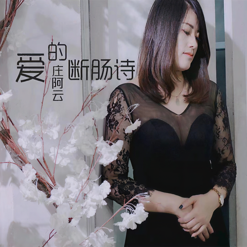 爱的断肠诗（DJ版）