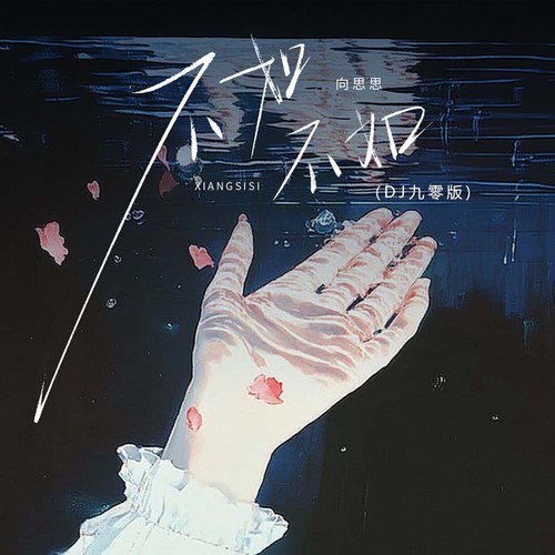 不如不如(DJ九零版)