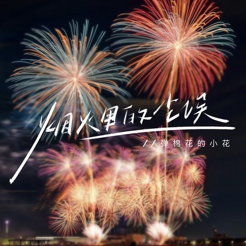 烟火里的尘埃（DJ沈念版）（原唱：华晨宇）