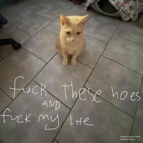 **** THESE HOES AND **** MY LIFE (Explicit)