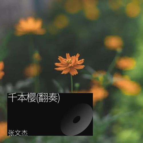千本樱(翻奏)