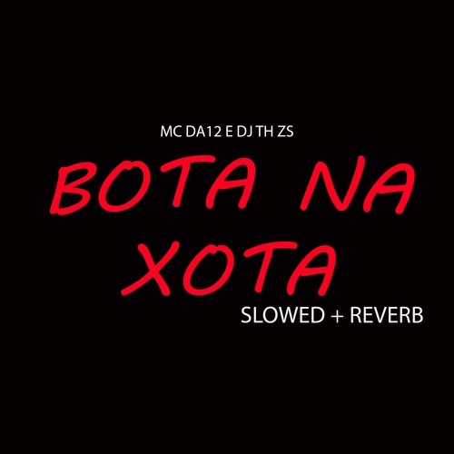 Bota na Xota Slowed + Reverb (Explicit)