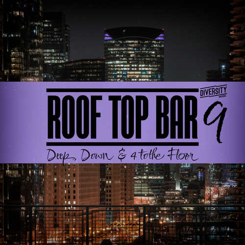 Rooftop Bar, Vol. 9 (Explicit)