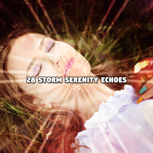 28 Storm Serenity Echoes